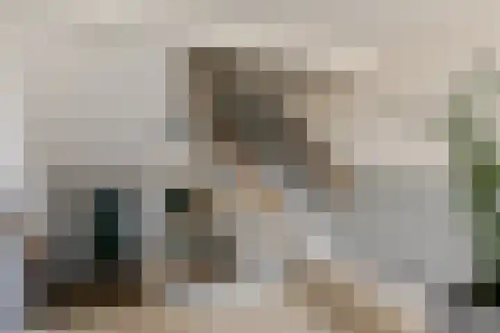 Soetensteeg 15 Rotterdam thumbnail 27