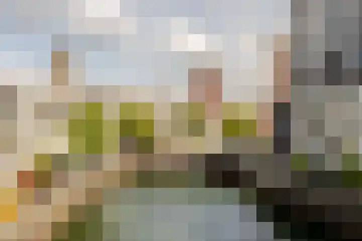 Soetensteeg 15 Rotterdam thumbnail 30