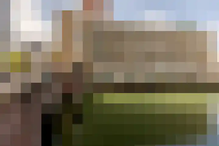 Soetensteeg 15 Rotterdam thumbnail 31