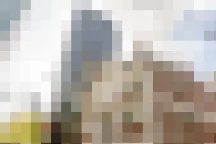 Soetensteeg 15 Rotterdam thumbnail 33