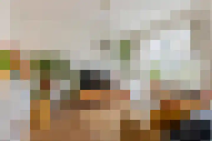 Soetensteeg 15 Rotterdam thumbnail 9