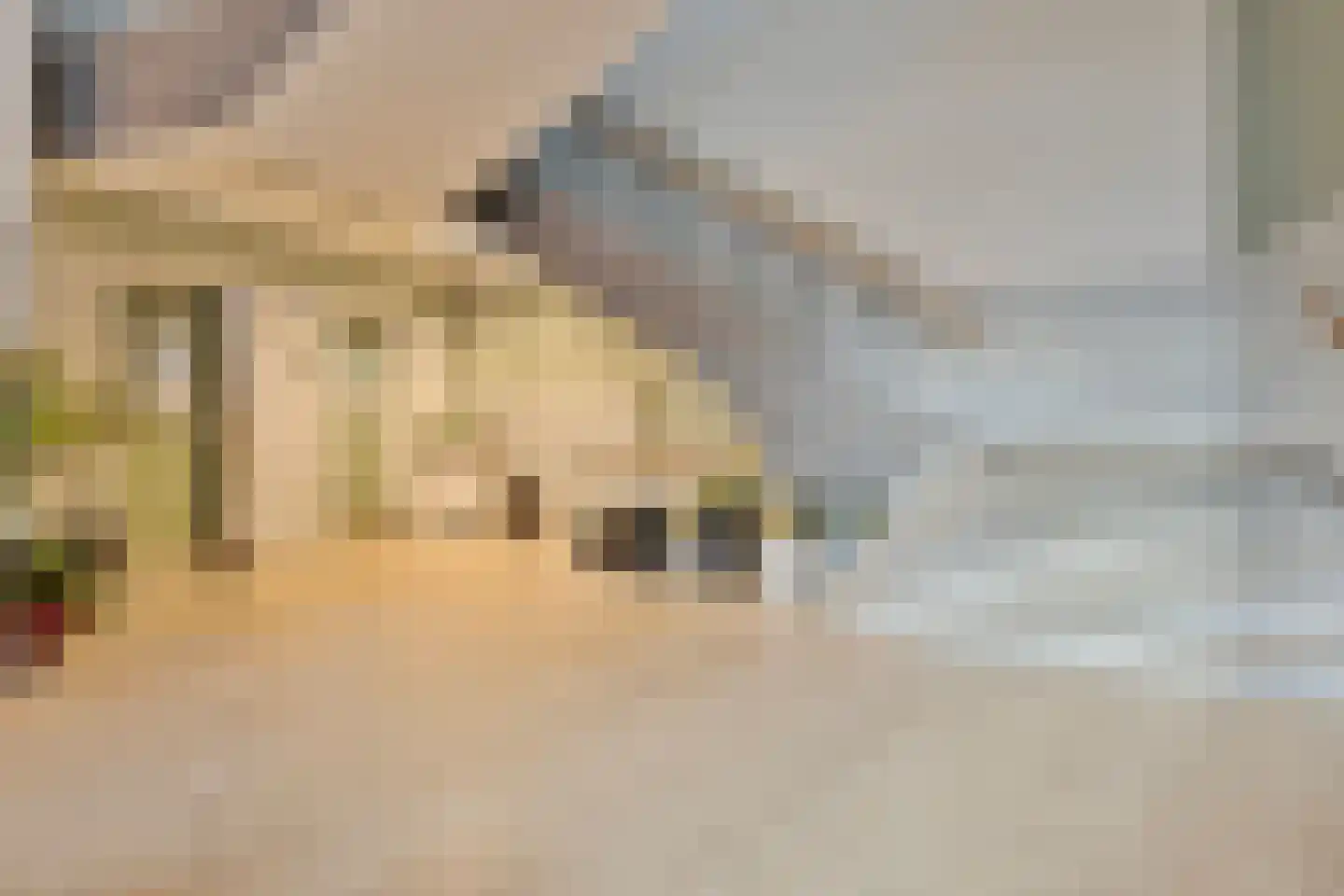 Soetensteeg 20 Rotterdam thumbnail 6