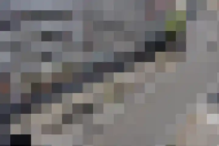 Soetensteeg 37 Rotterdam thumbnail 17