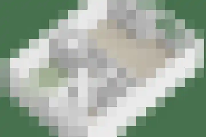 Soetensteeg 37 Rotterdam thumbnail 24
