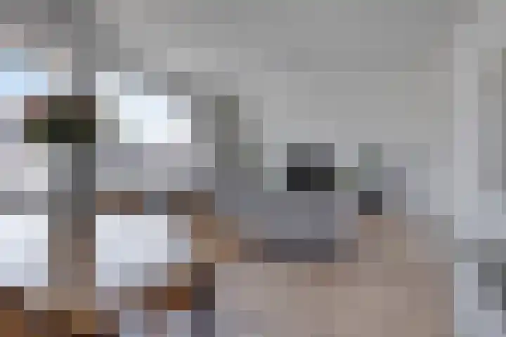 Soetensteeg 37 Rotterdam thumbnail 4