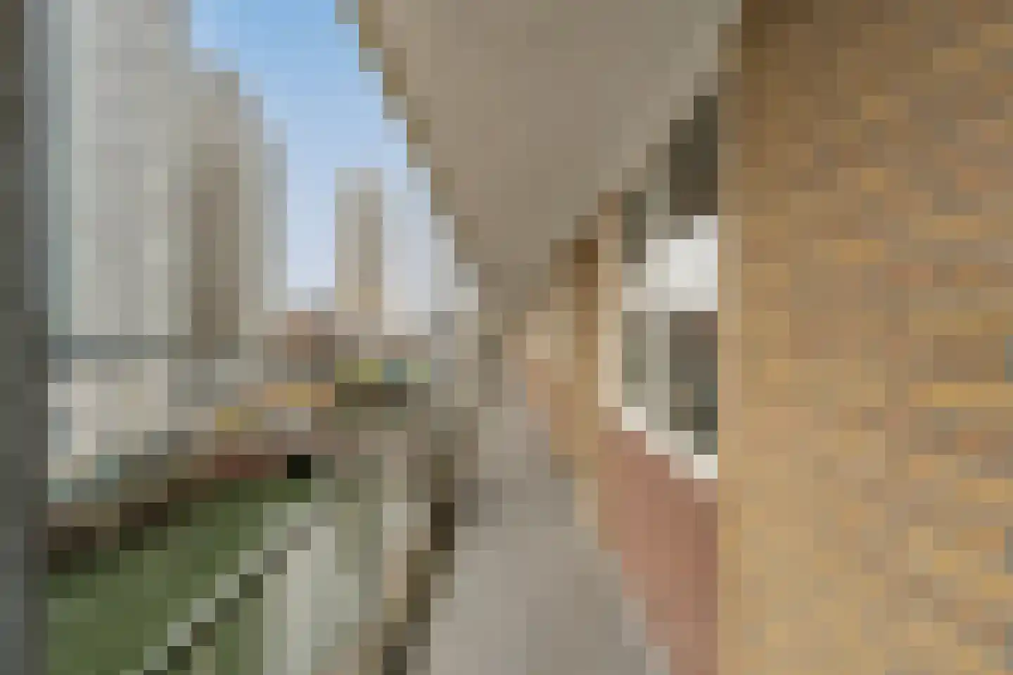 Soetensteeg 51 Rotterdam thumbnail 18