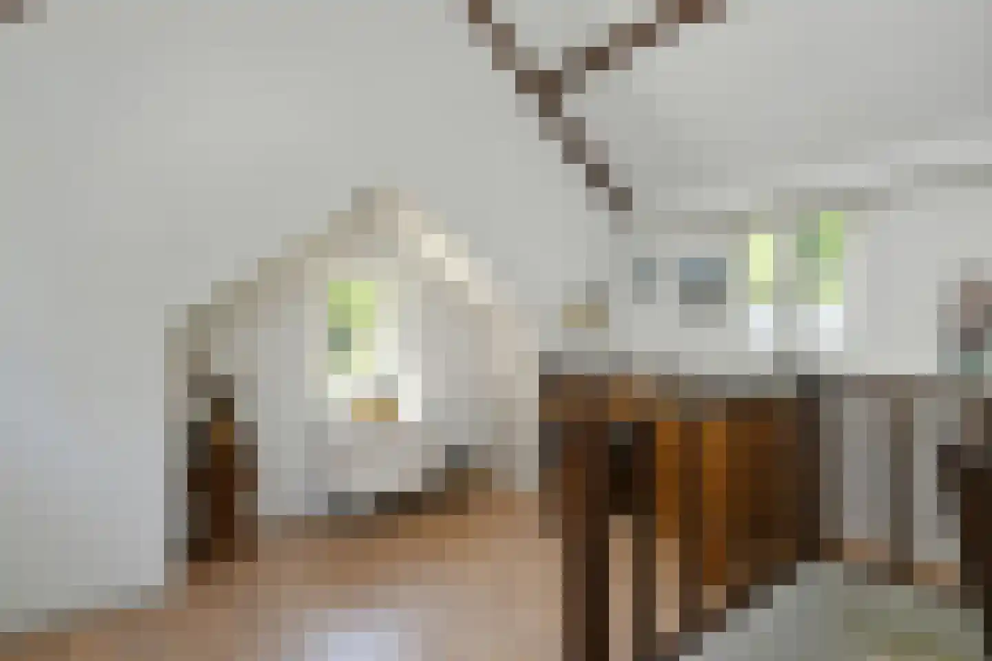 Soeterbeek 3 Baarlo thumbnail 31