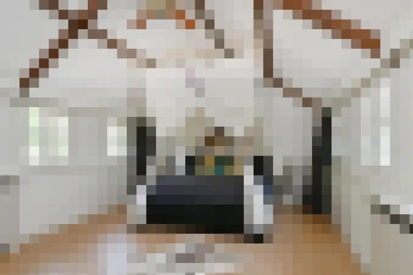 Soeterbeek 3 Baarlo thumbnail 33