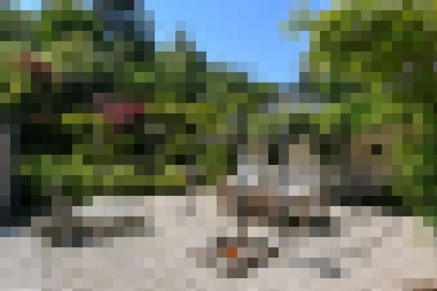 Soeterbeek 3 Baarlo thumbnail 34