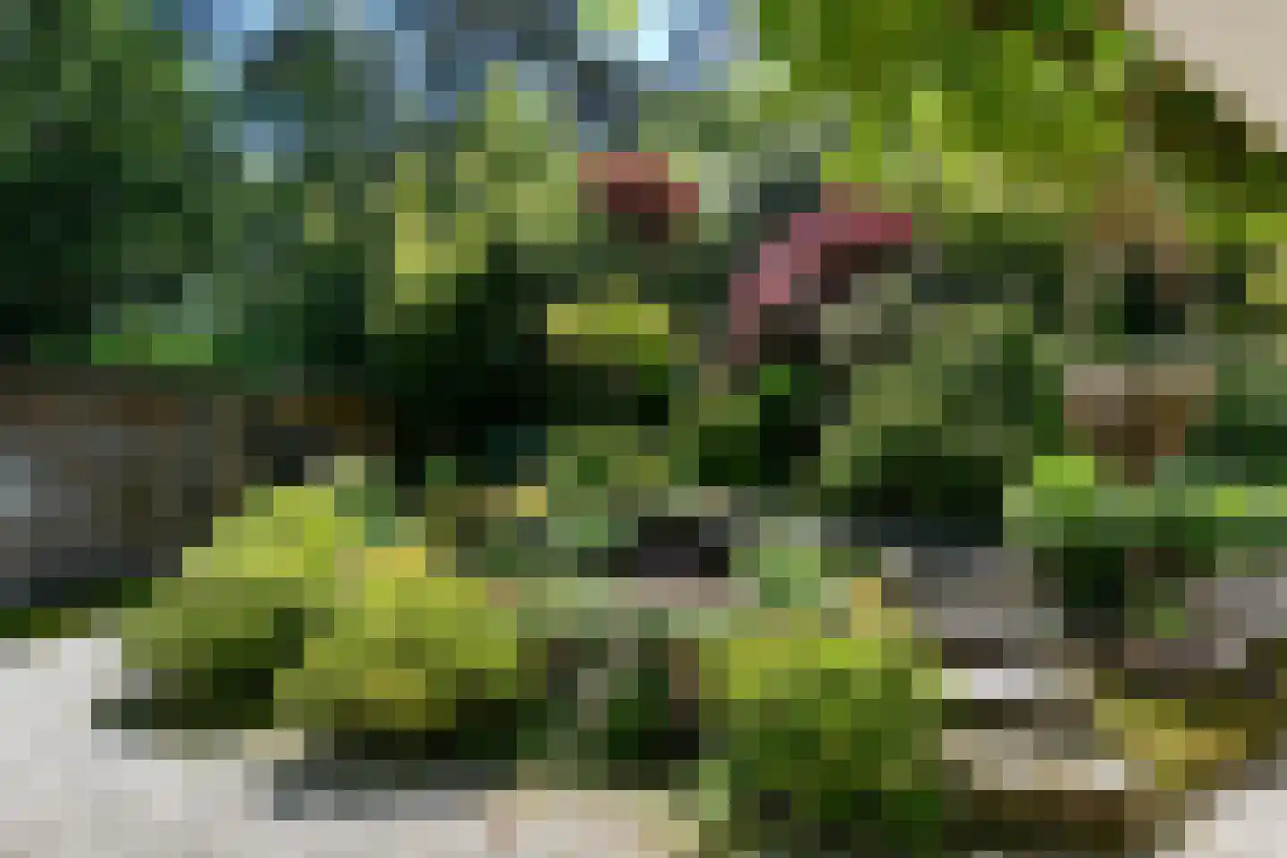 Soeterbeek 3 Baarlo thumbnail 35
