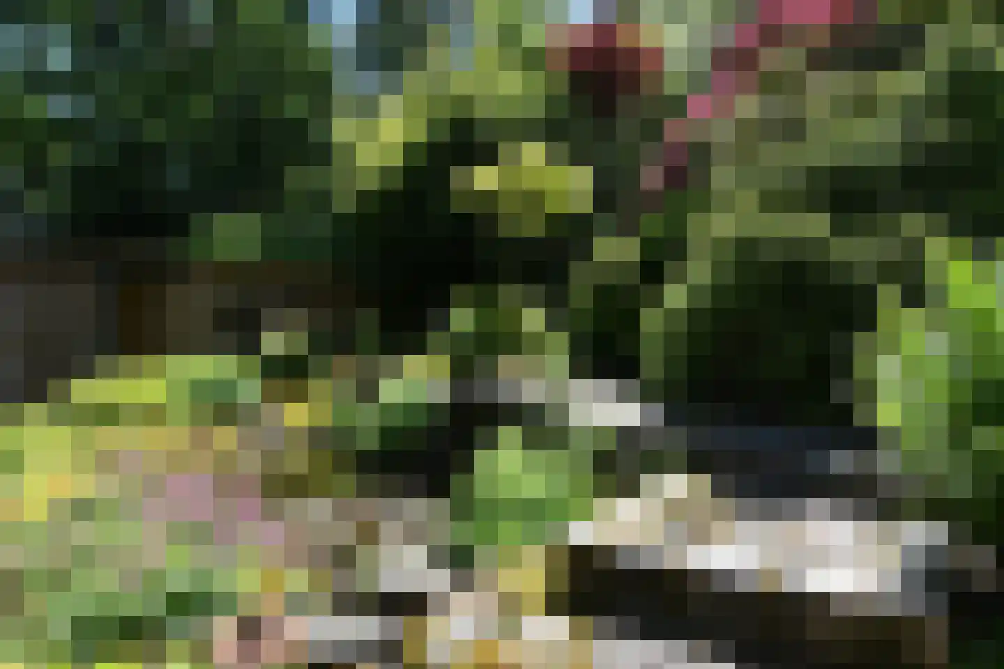 Soeterbeek 3 Baarlo thumbnail 36