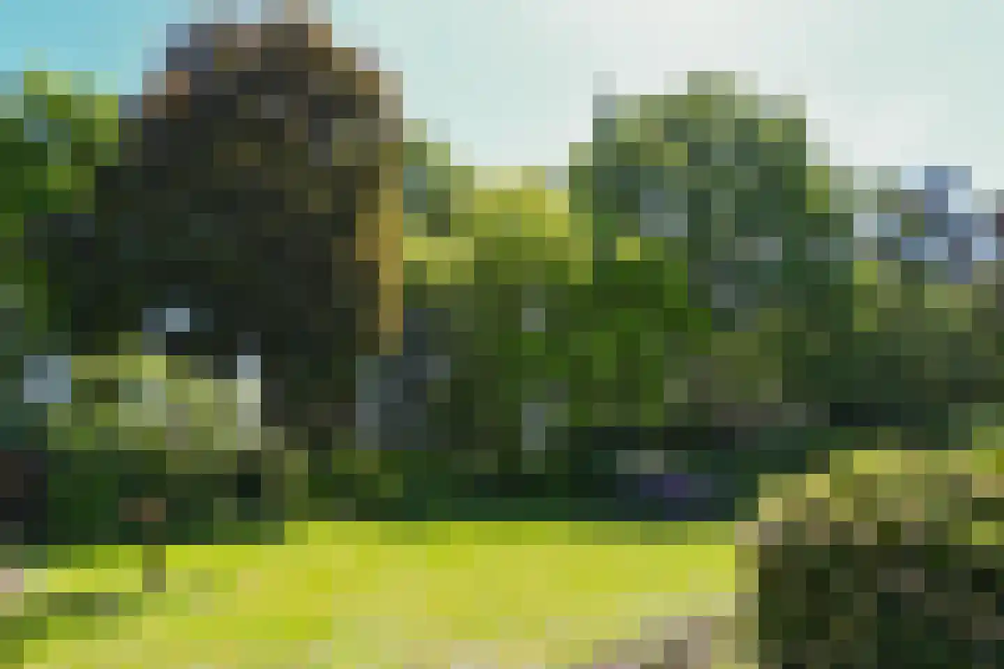 Soeterbeek 3 Baarlo thumbnail 45