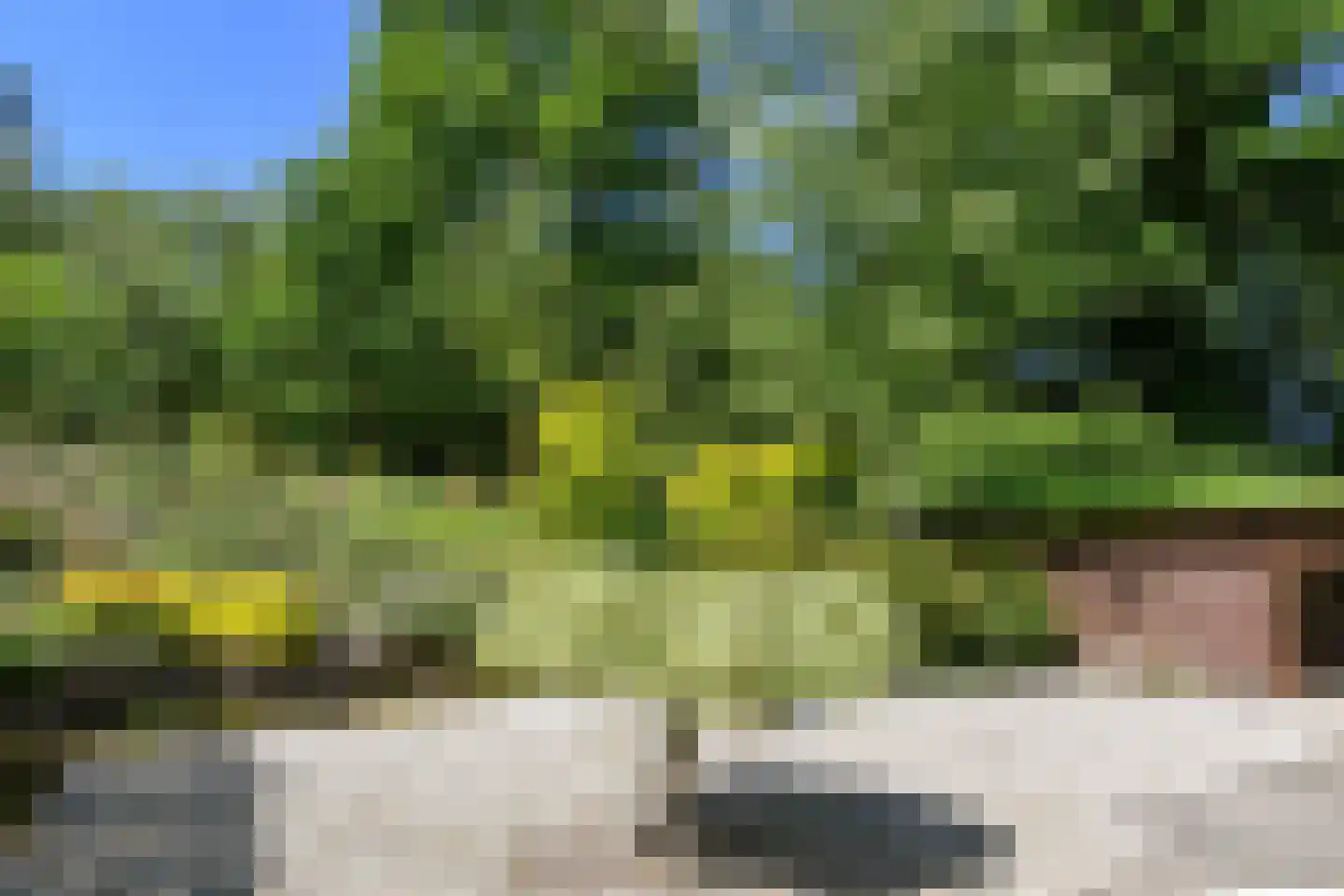 Soeterbeek 3 Baarlo thumbnail 67