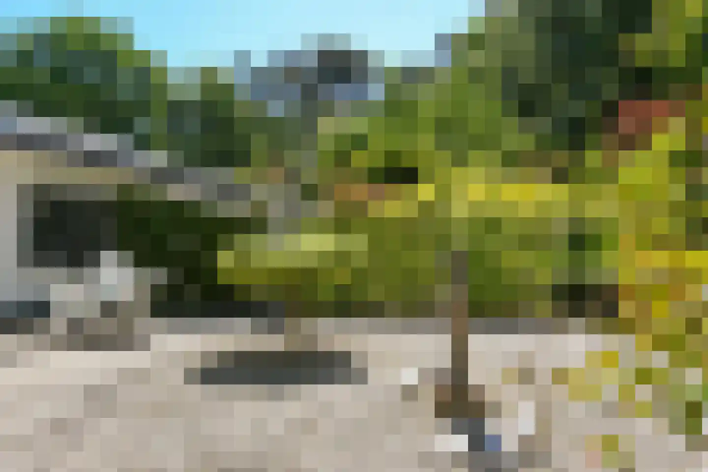Soeterbeek 3 Baarlo thumbnail 69
