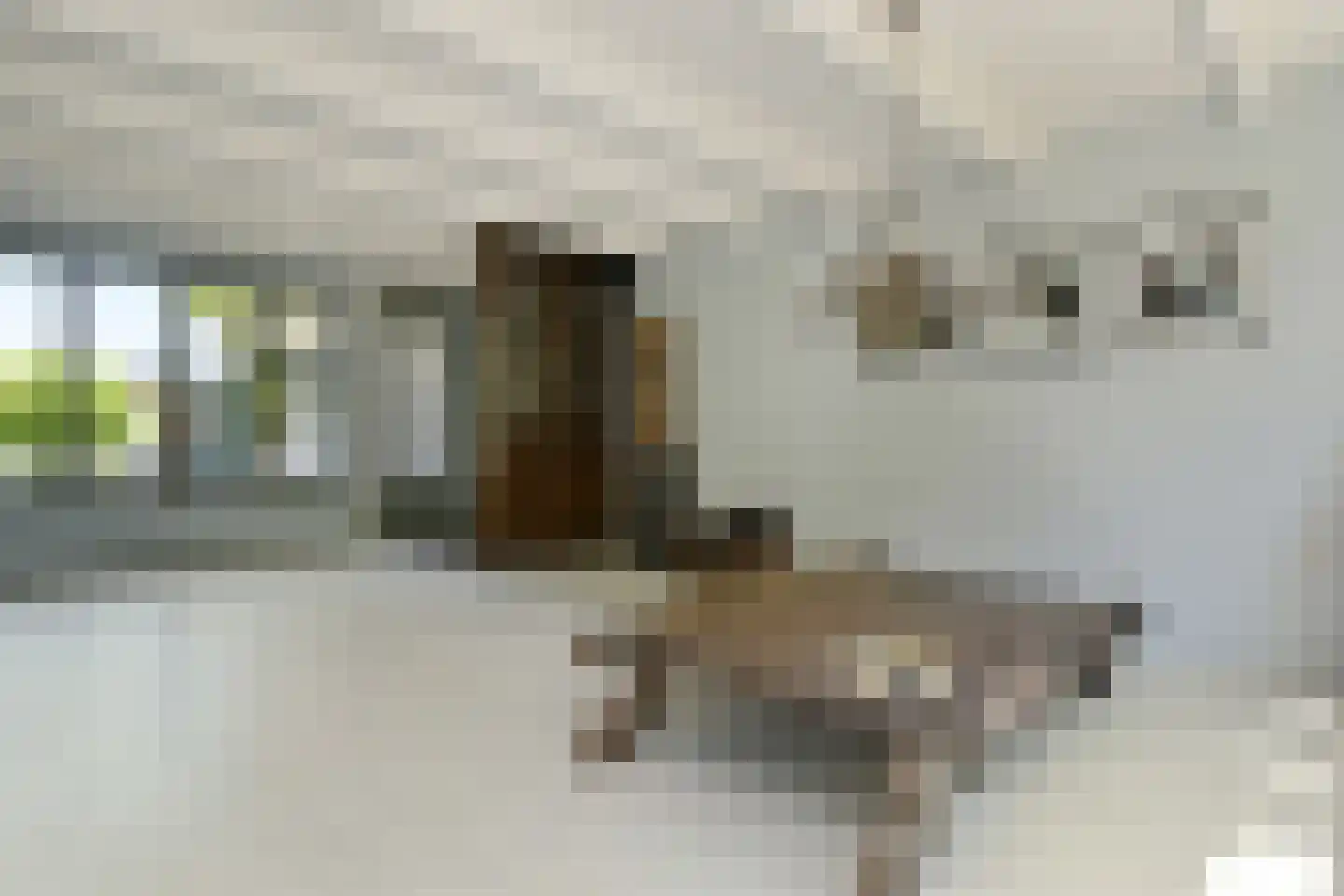 Soeterbeek 3 Baarlo thumbnail 72