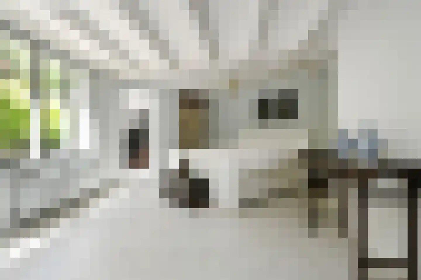 Soeterbeek 3 Baarlo thumbnail 73