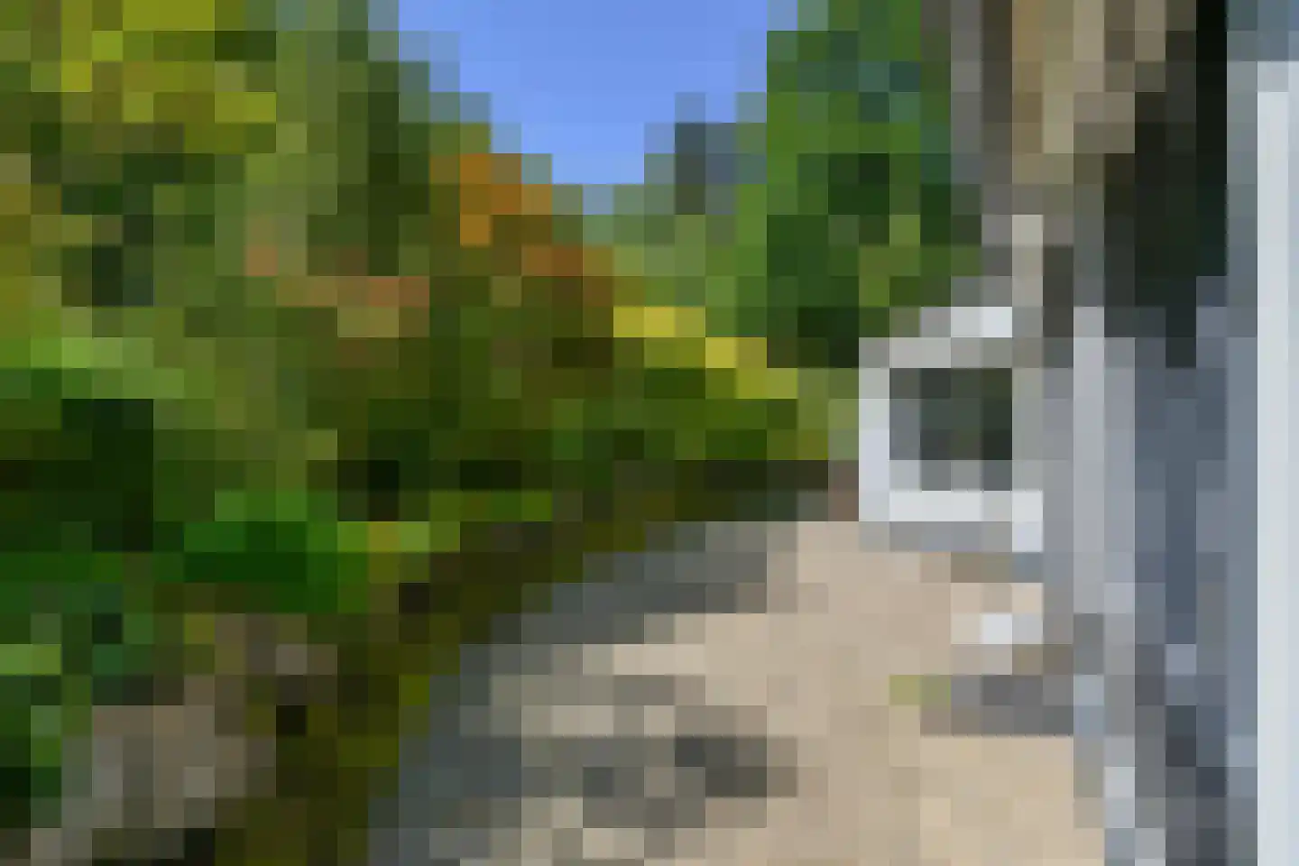 Soeterbeek 3 Baarlo thumbnail 80