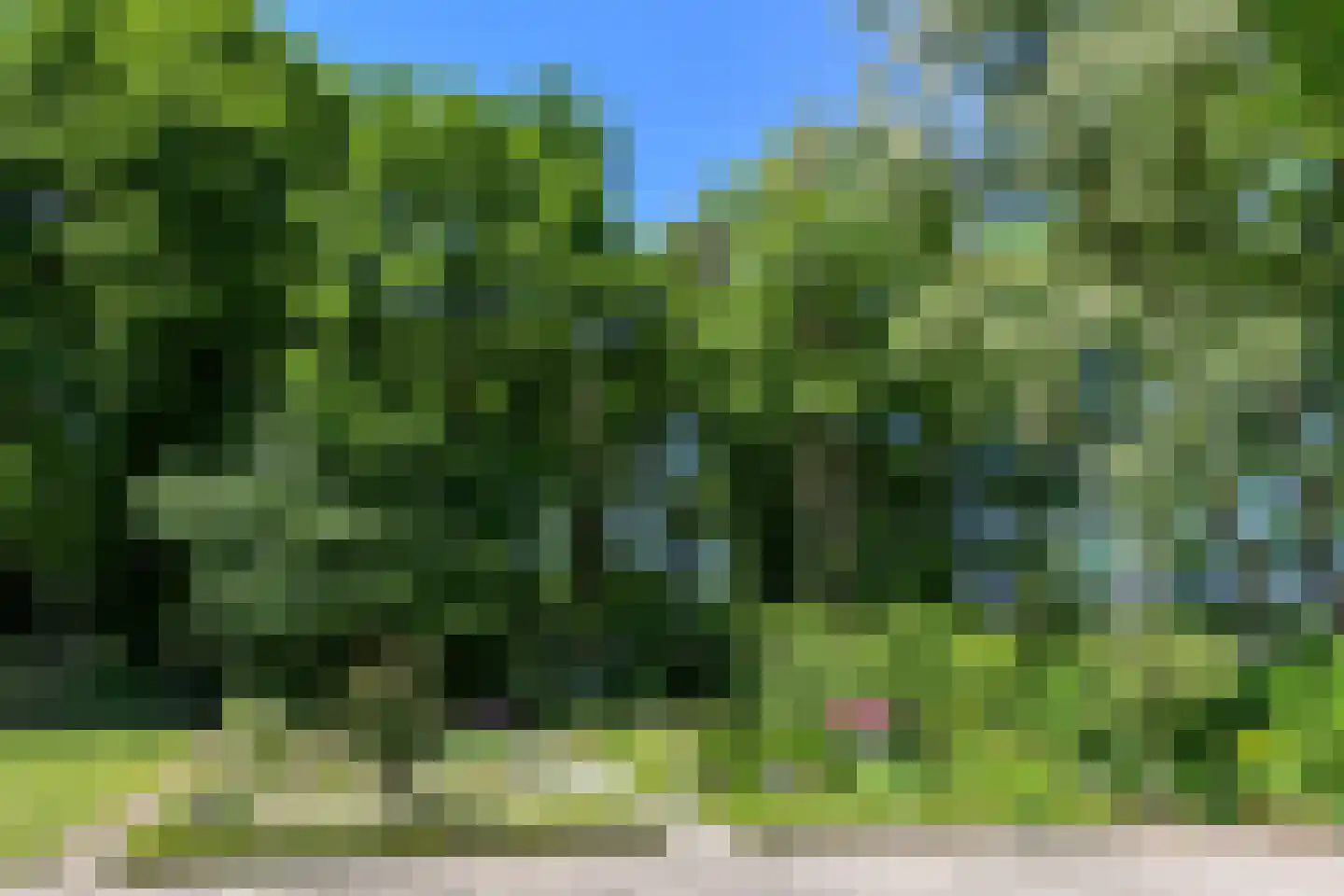 Soeterbeek 3 Baarlo thumbnail 83