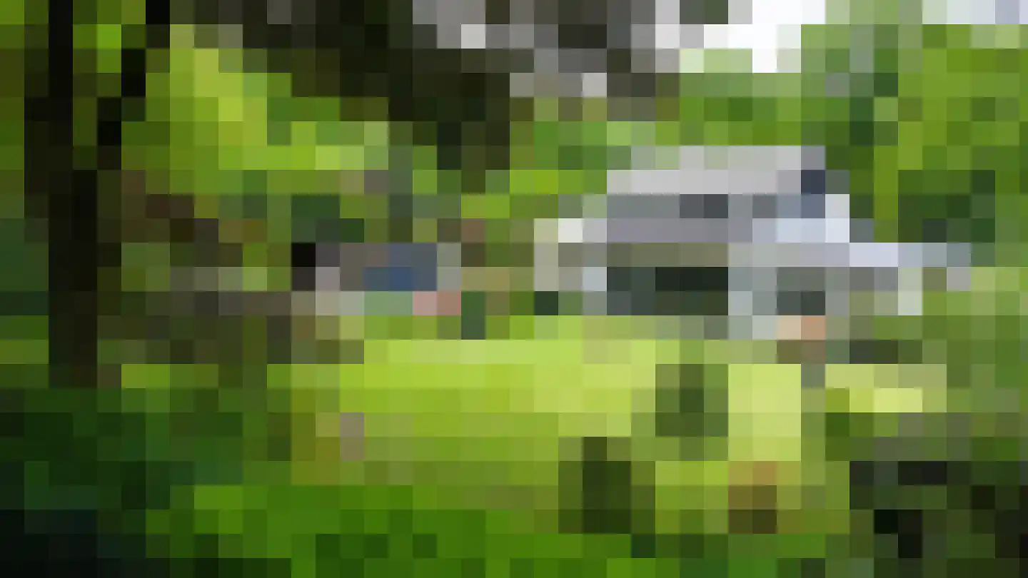 Soeterbeek 3 Baarlo thumbnail 84