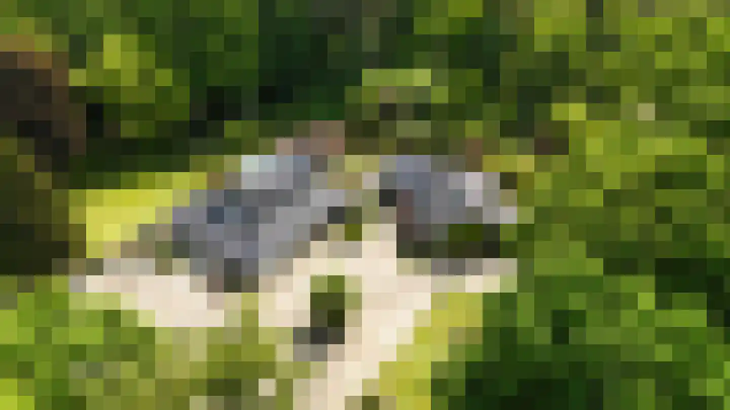 Soeterbeek 3 Baarlo thumbnail 85