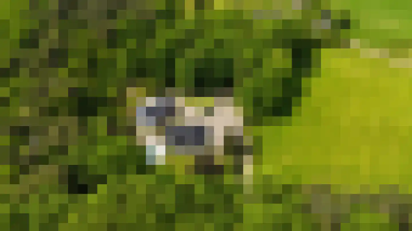 Soeterbeek 3 Baarlo thumbnail 86