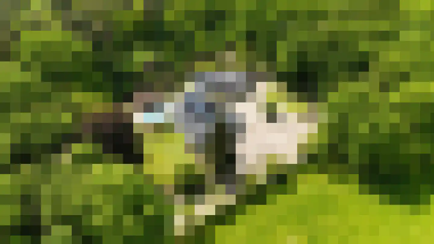Soeterbeek 3 Baarlo thumbnail 87