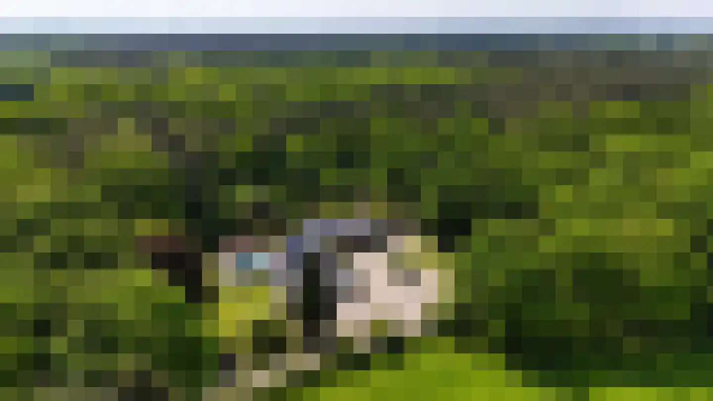 Soeterbeek 3 Baarlo thumbnail 88