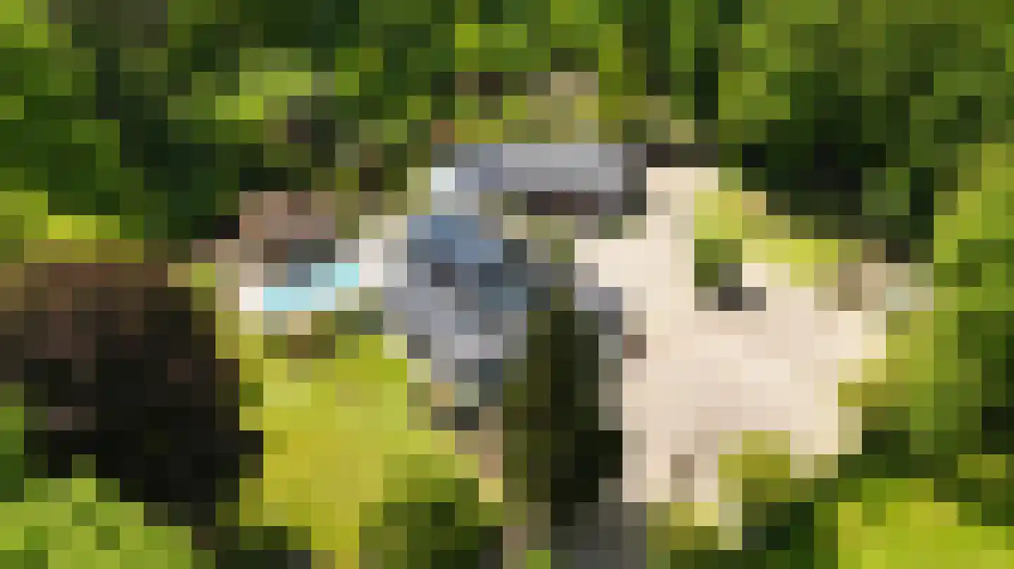 Soeterbeek 3 Baarlo thumbnail 89
