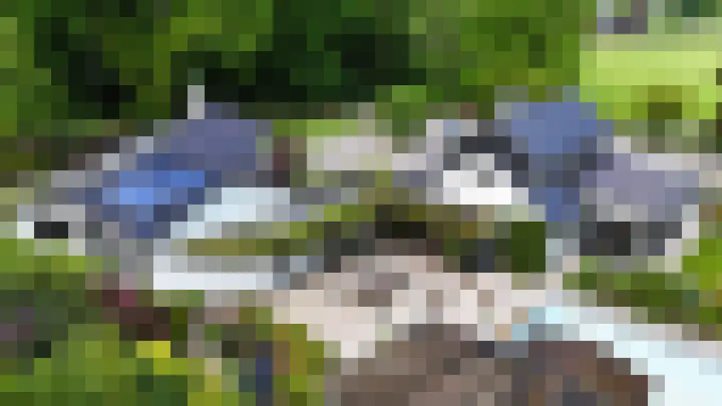 Soeterbeek 3 Baarlo thumbnail 90