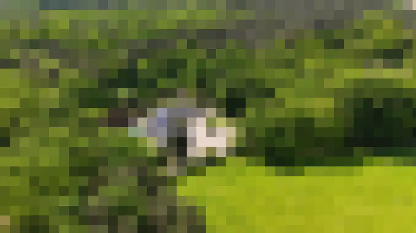 Soeterbeek 3 Baarlo thumbnail 93