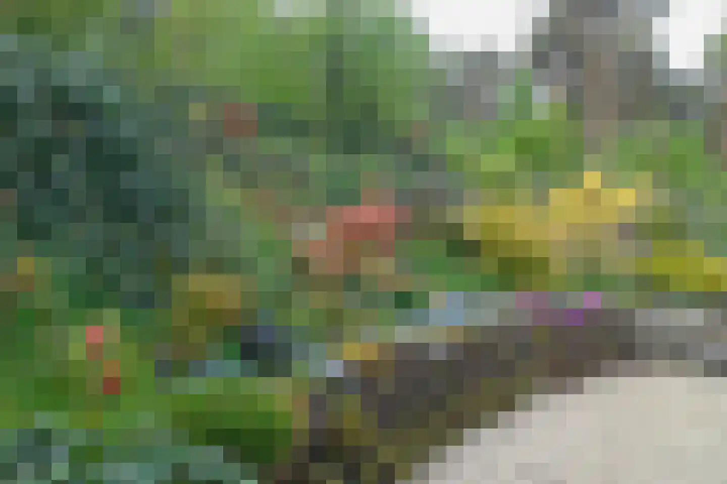 Soeterbeek 3 Baarlo thumbnail 94