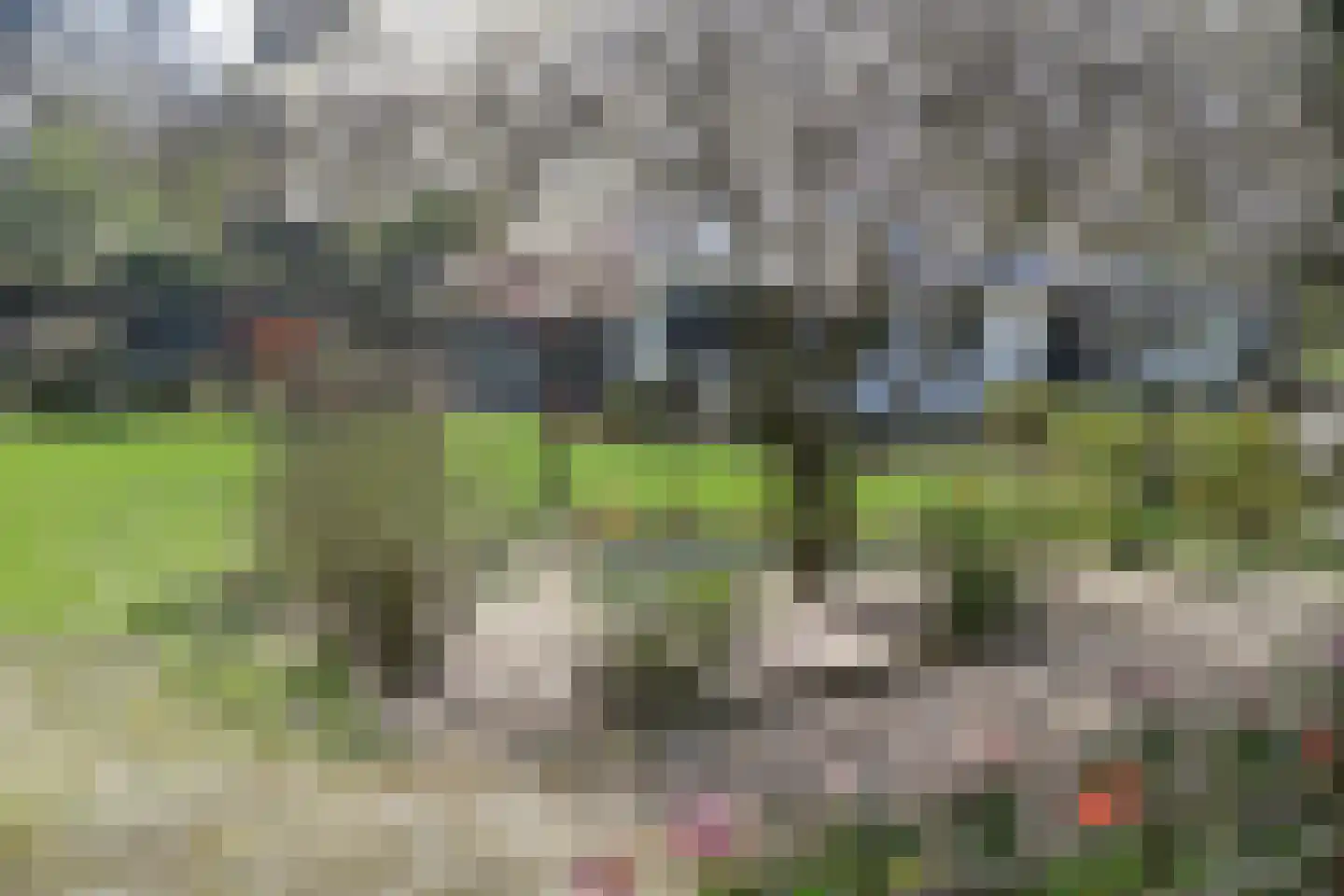 Soeterbeek 3 Baarlo thumbnail 95