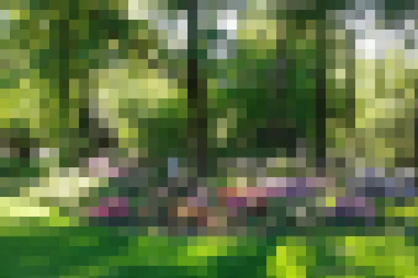 Soeterbeek 3 Baarlo thumbnail 96
