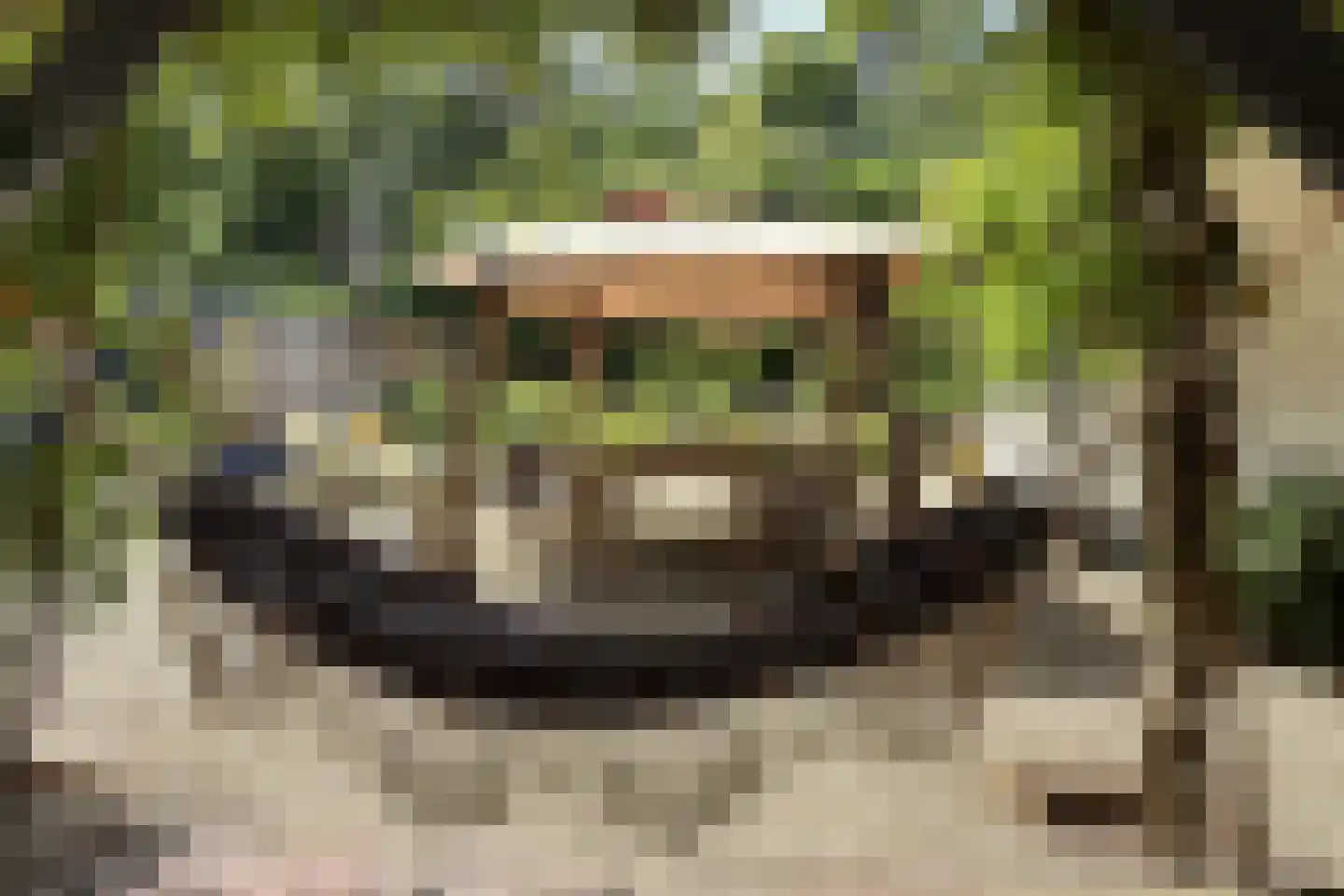 Soeterbeek 3 Baarlo thumbnail 97