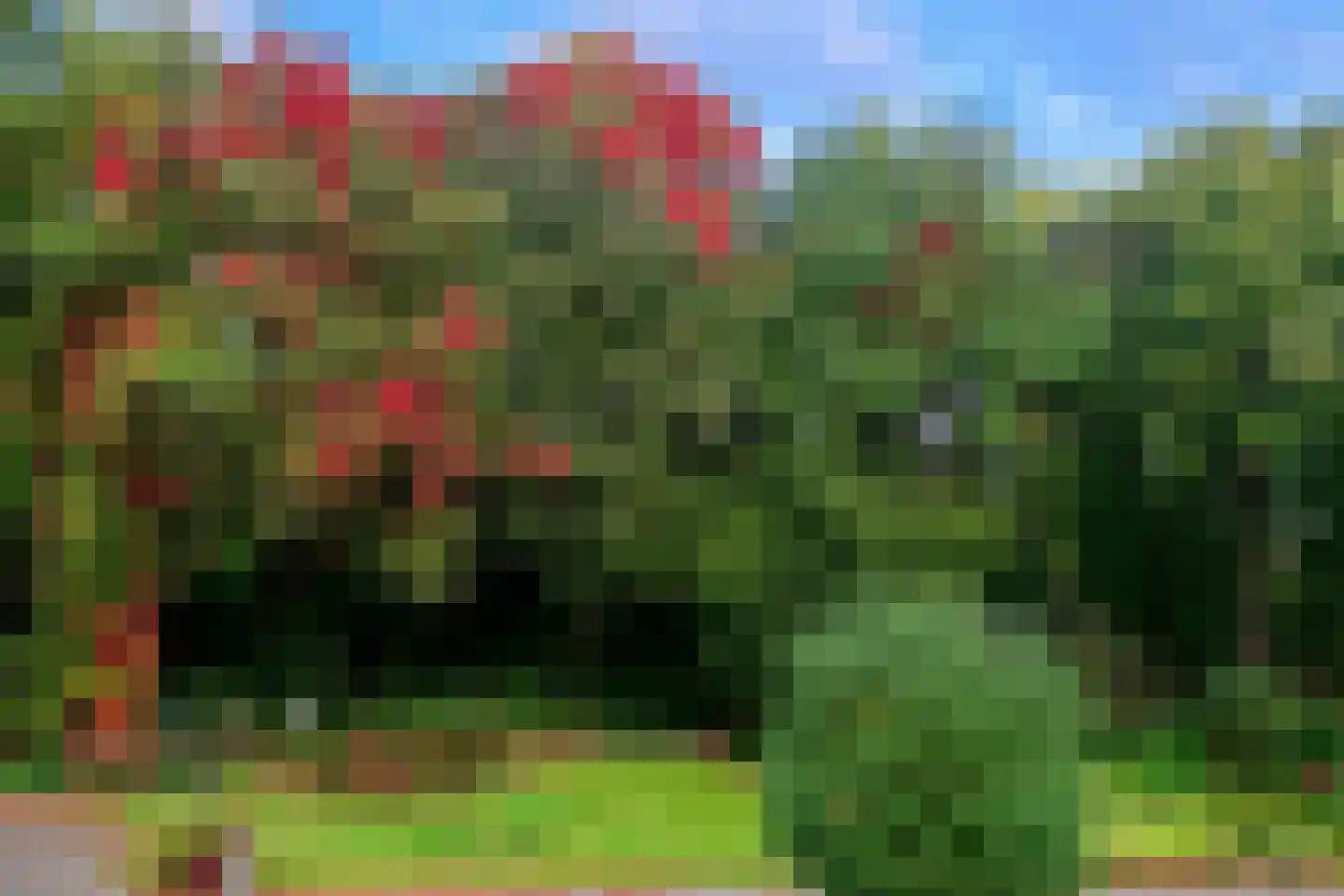 Soeterbeek 3 Baarlo thumbnail 98