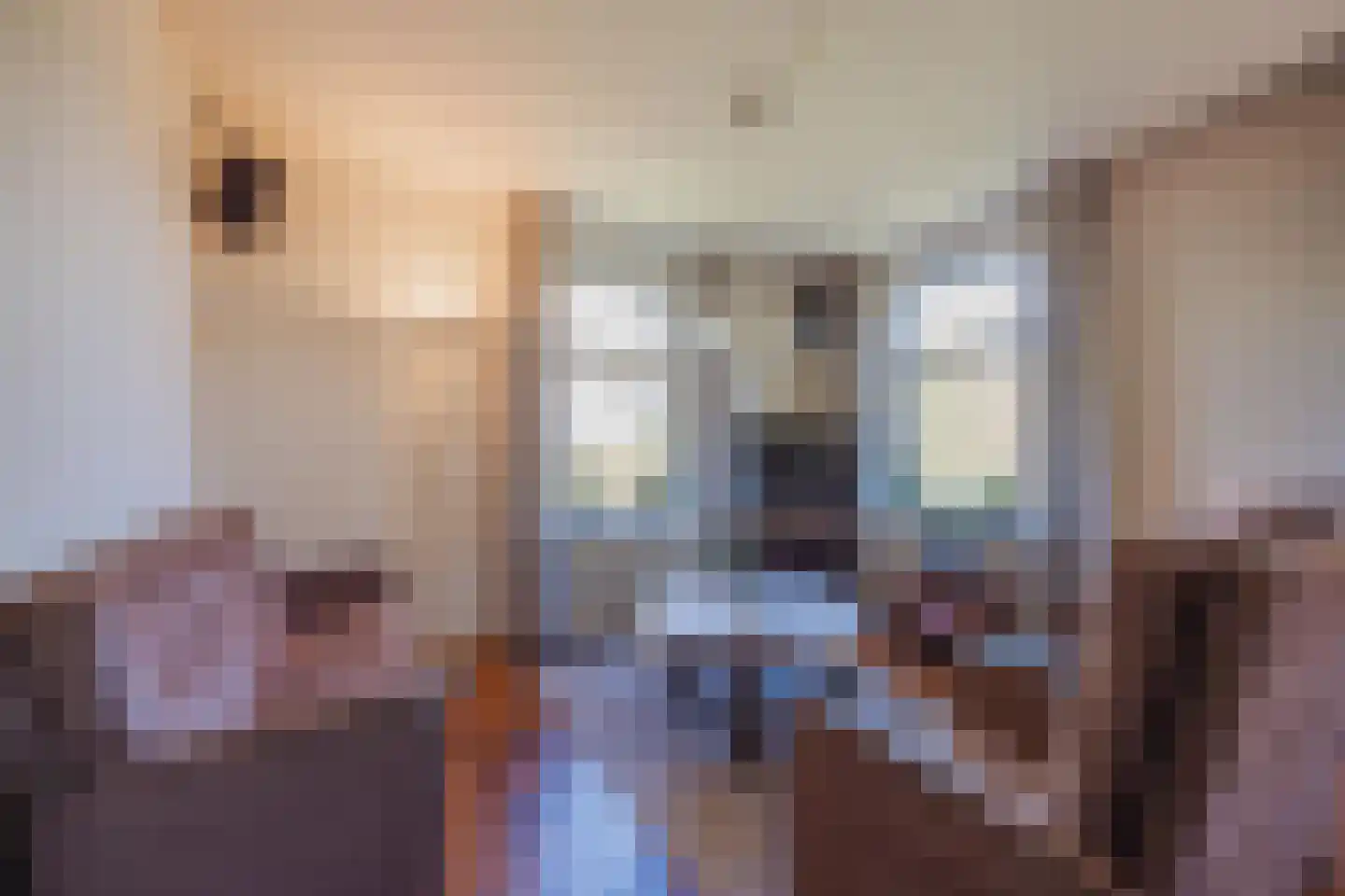 Soeterbeek 4 Baarlo thumbnail 13