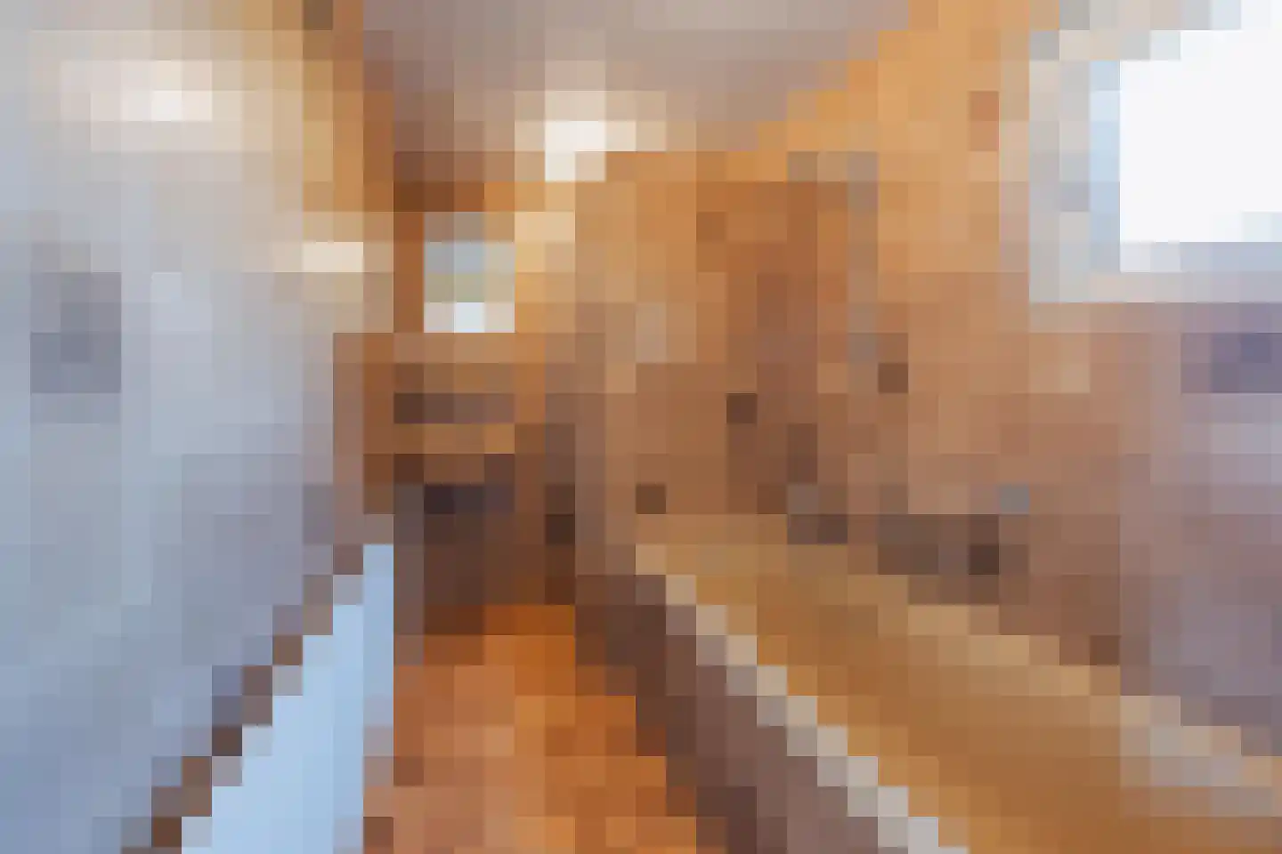 Soeterbeek 4 Baarlo thumbnail 24
