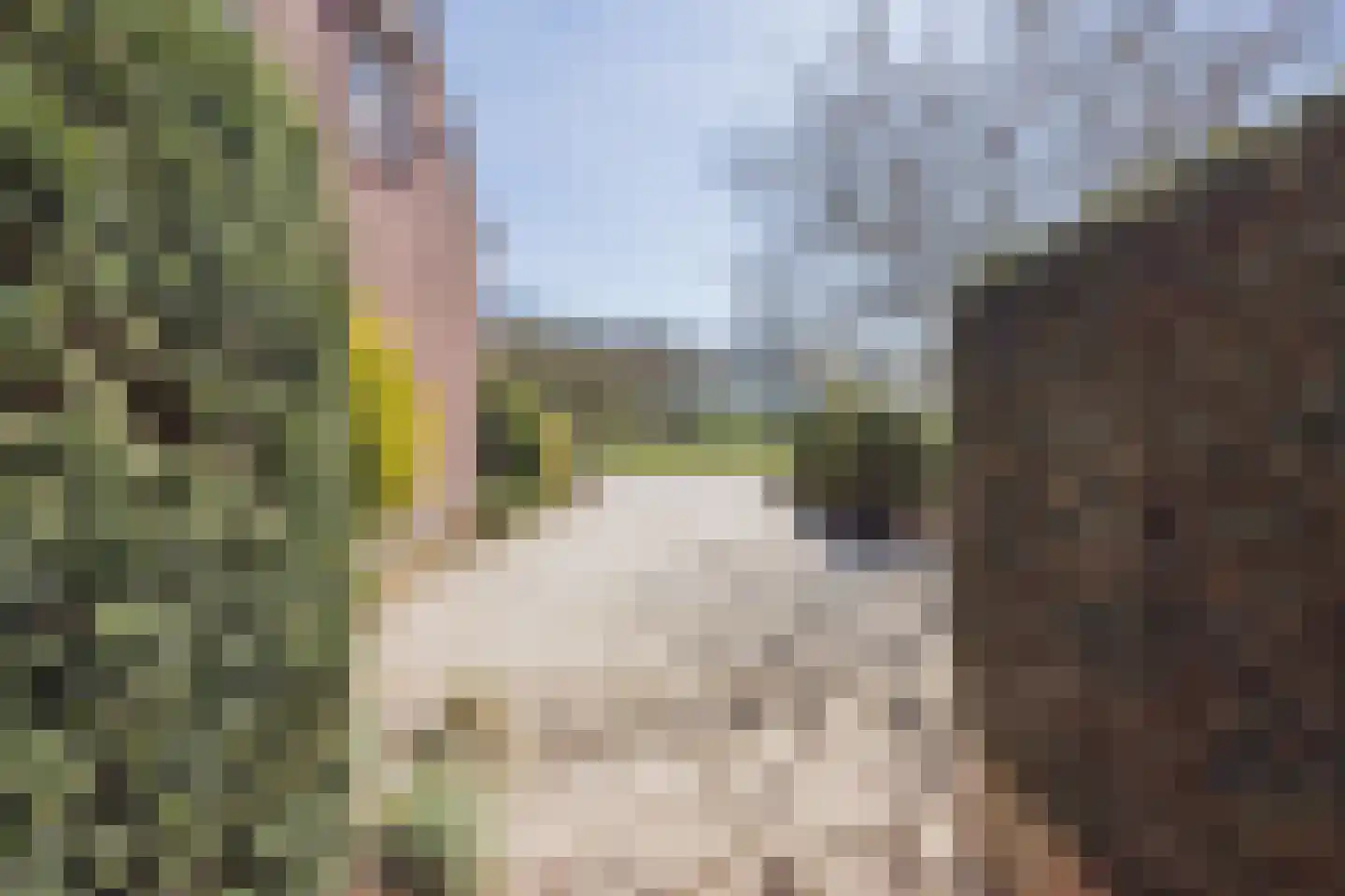 Soeterbeek 4 Baarlo thumbnail 38