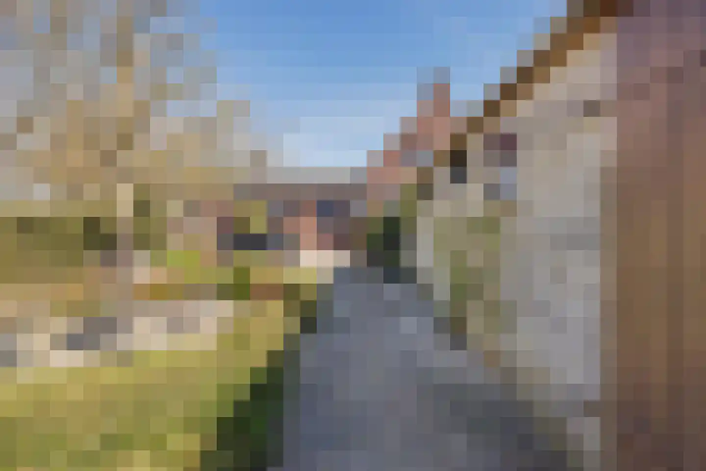 Soeterbeek 4 Baarlo thumbnail 41