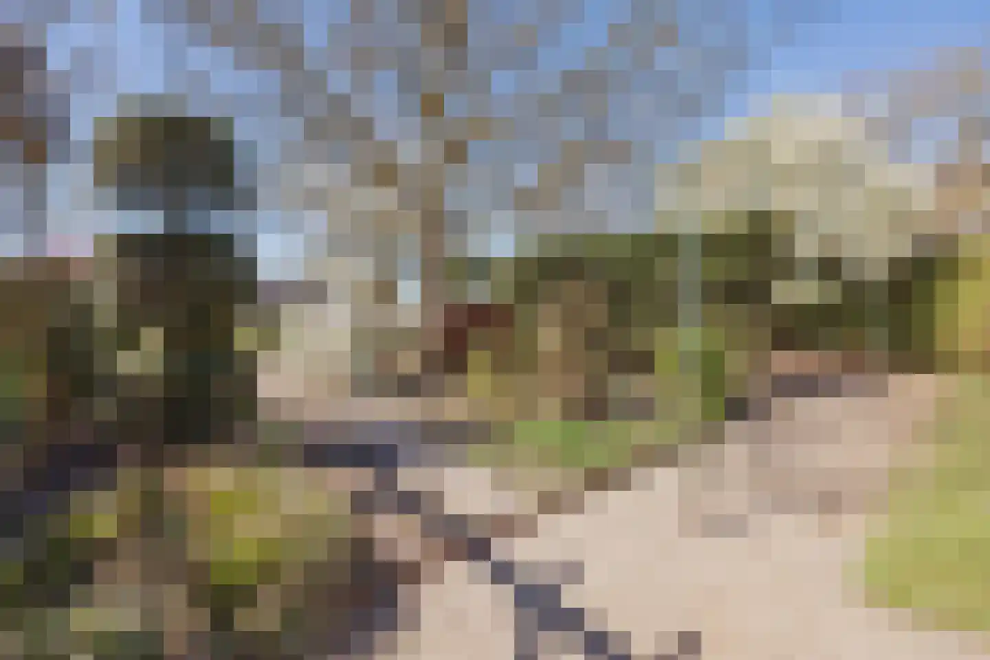 Soeterbeek 4 Baarlo thumbnail 43