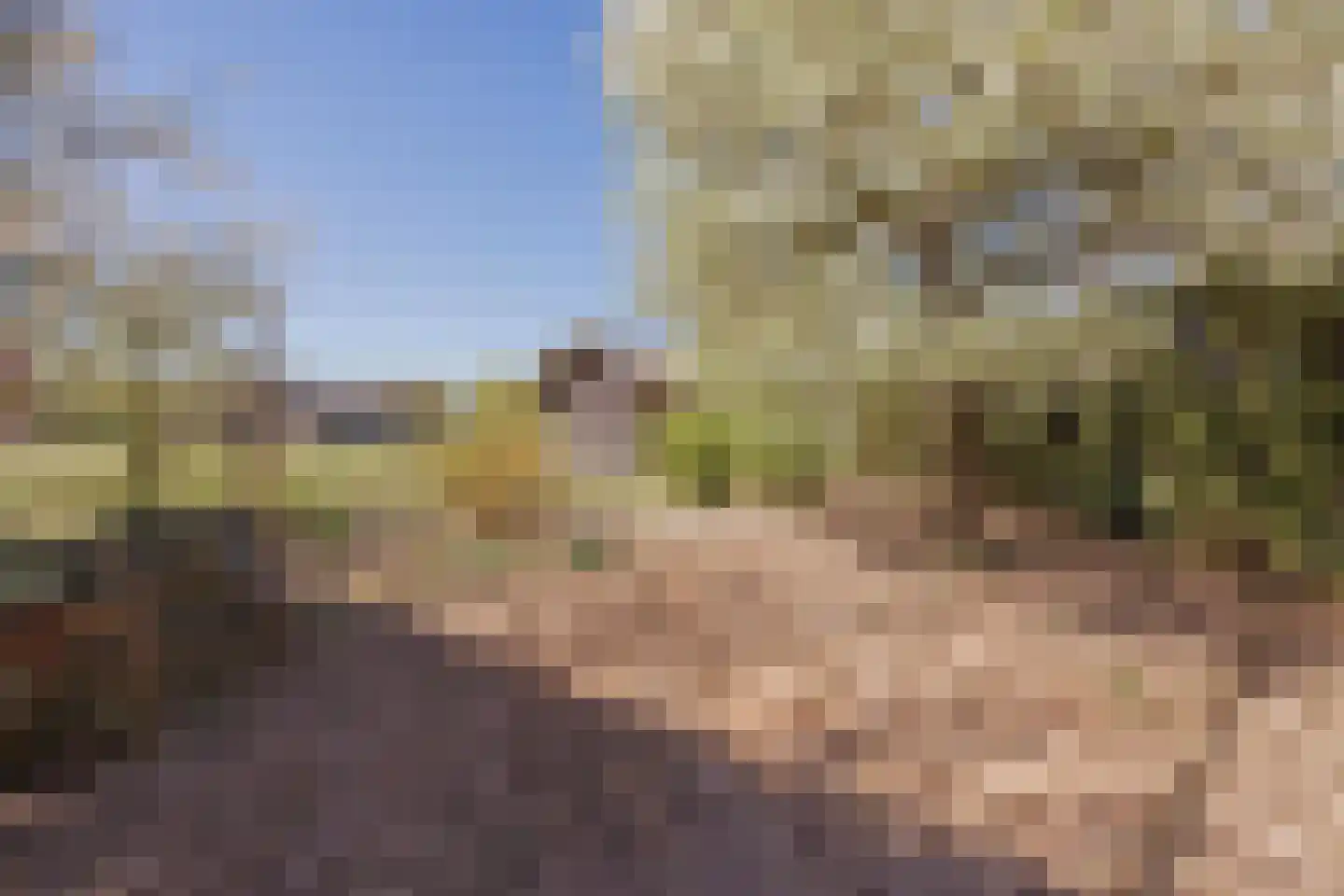 Soeterbeek 4 Baarlo thumbnail 44