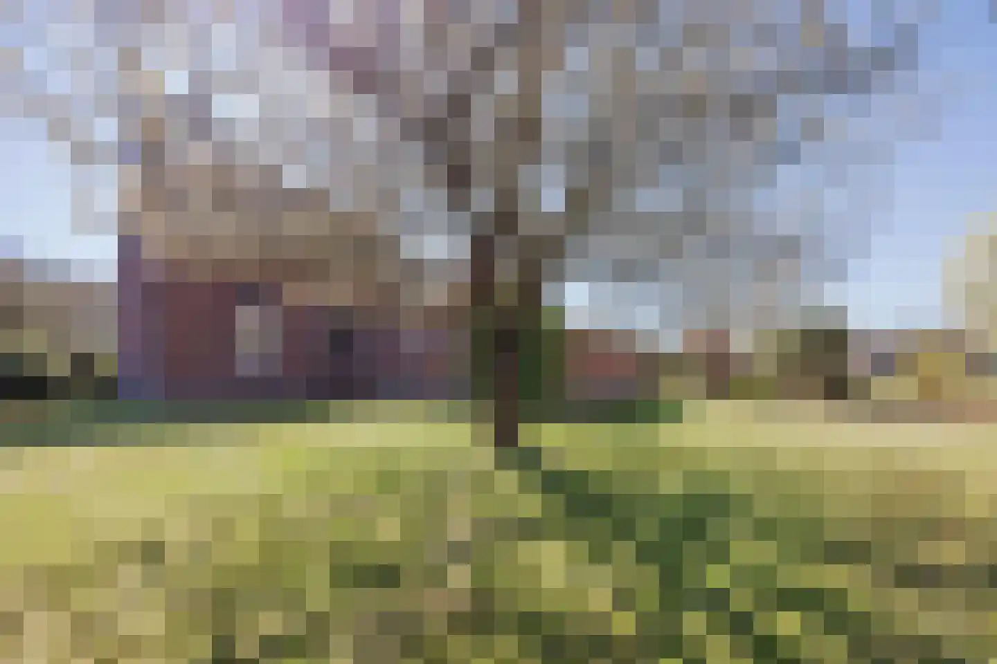 Soeterbeek 4 Baarlo thumbnail 5