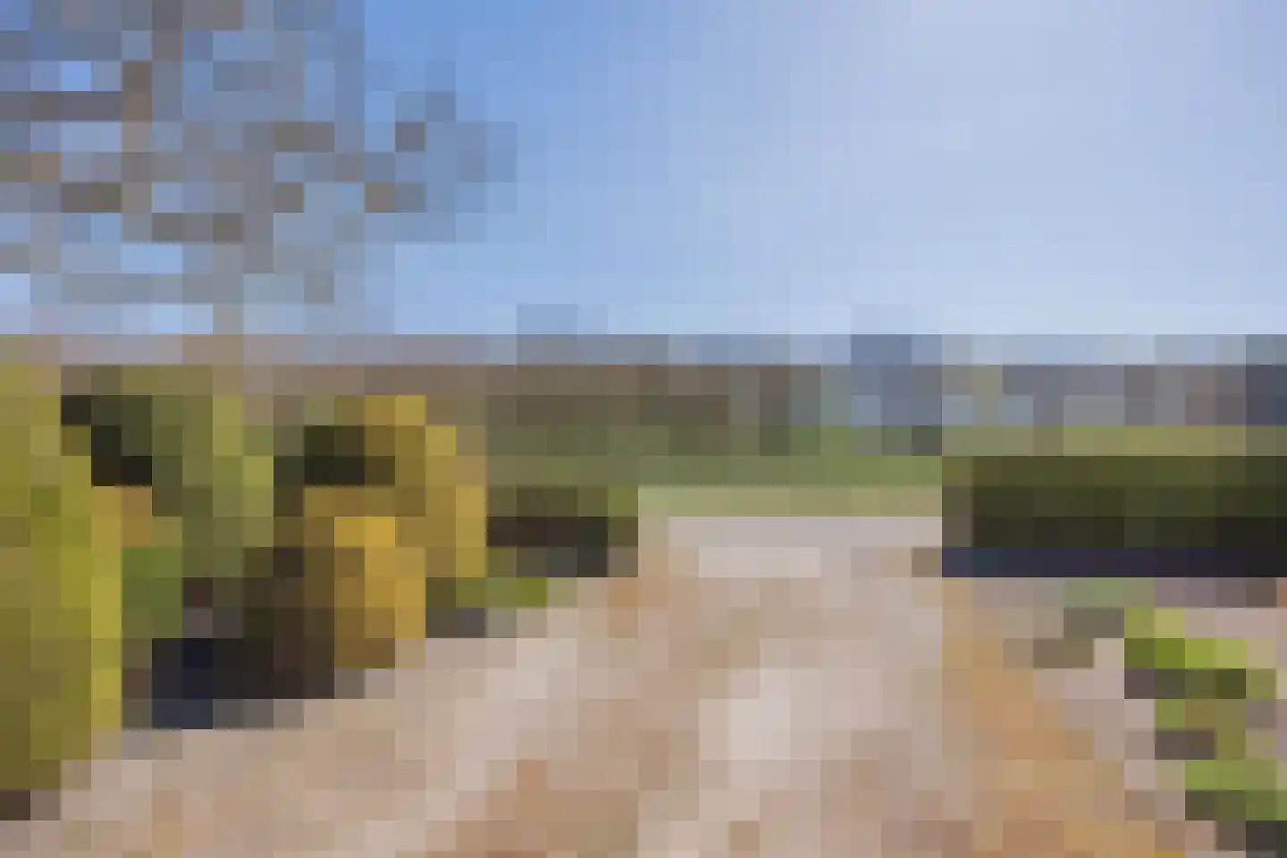 Soeterbeek 4 Baarlo thumbnail 51