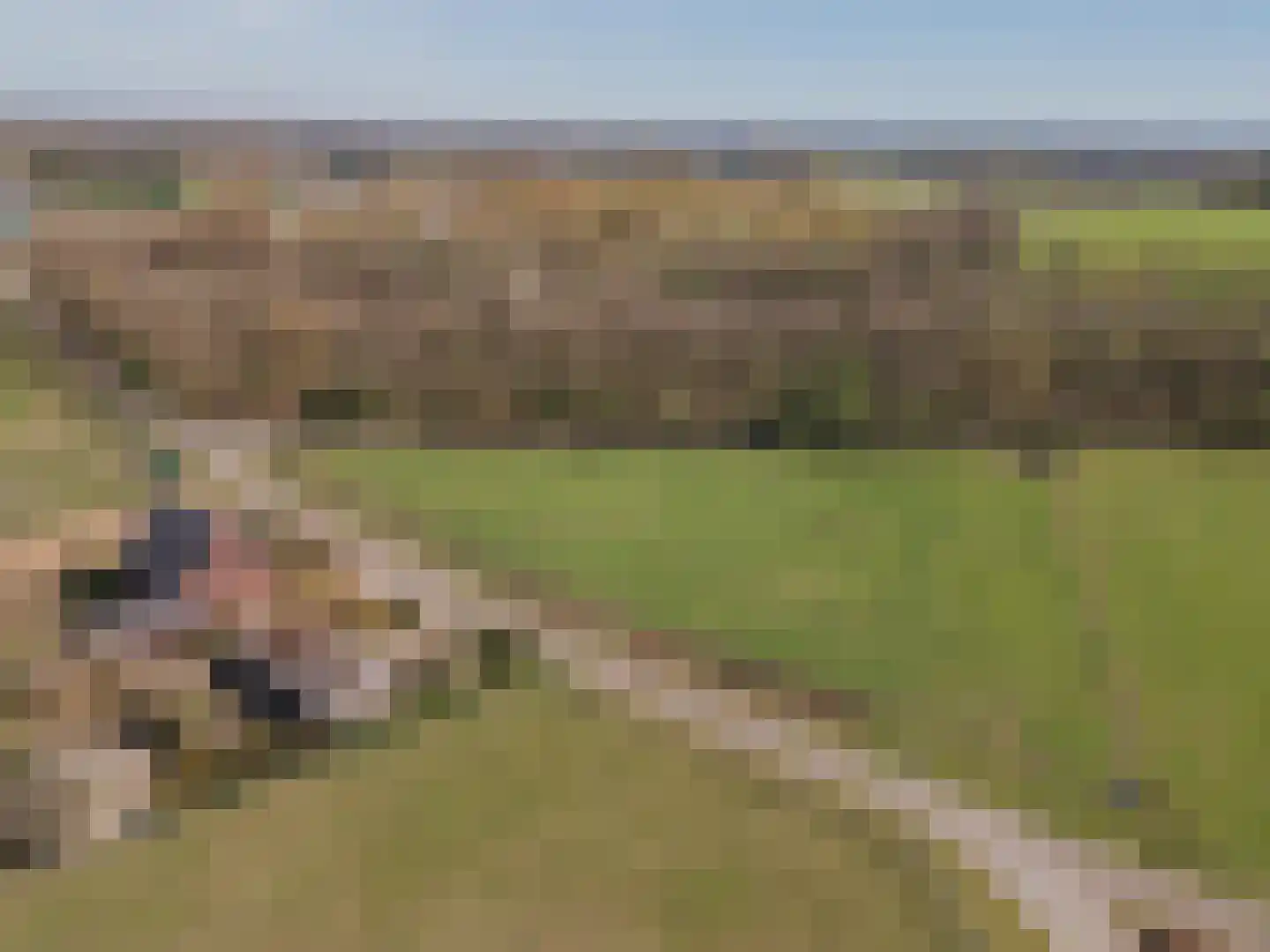 Soeterbeek 4 Baarlo thumbnail 55