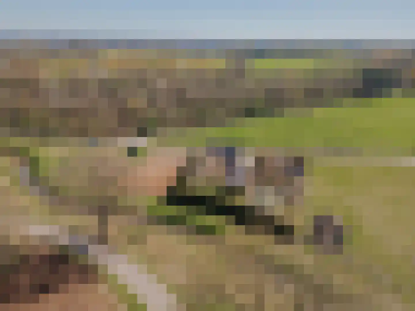 Soeterbeek 4 Baarlo thumbnail 56