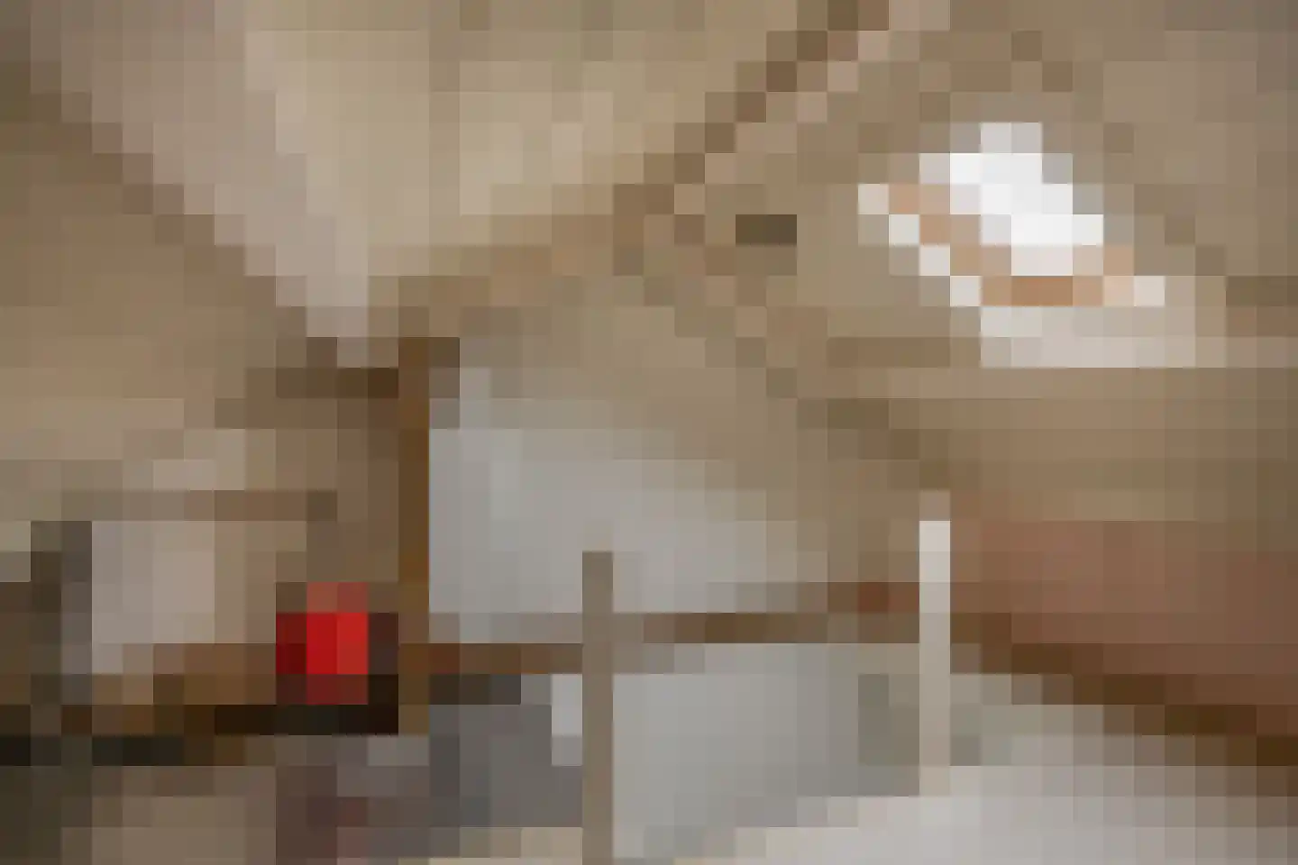 Soeterbeekseweg 16 Nuenen thumbnail 41