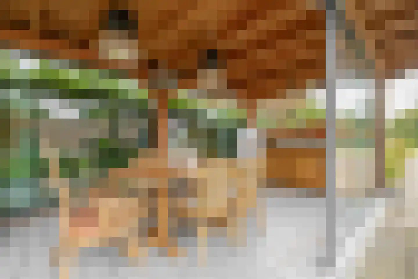Soeterbeekseweg 16 Nuenen thumbnail 42
