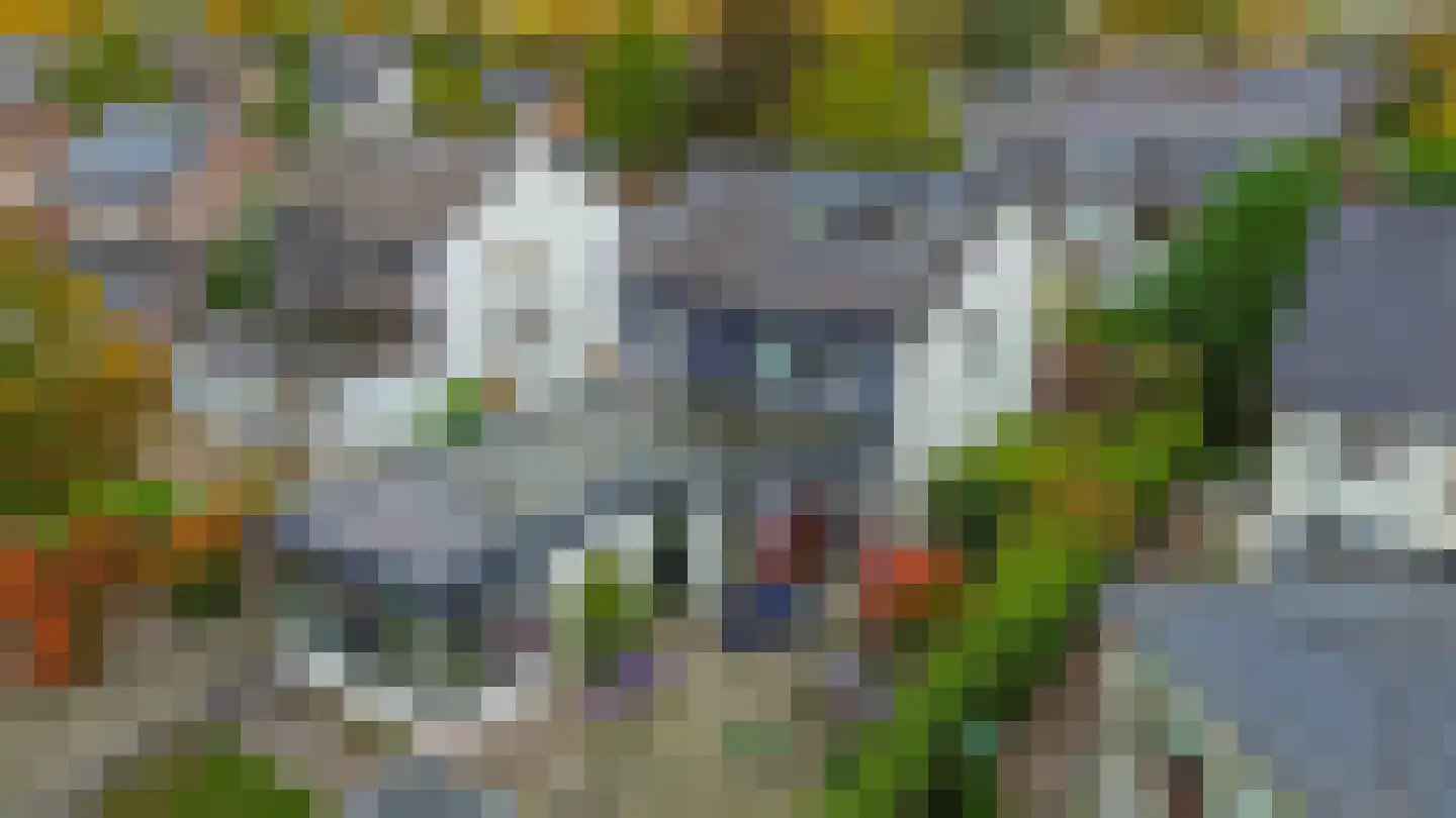 Soeterbeekseweg 16 Nuenen thumbnail 55