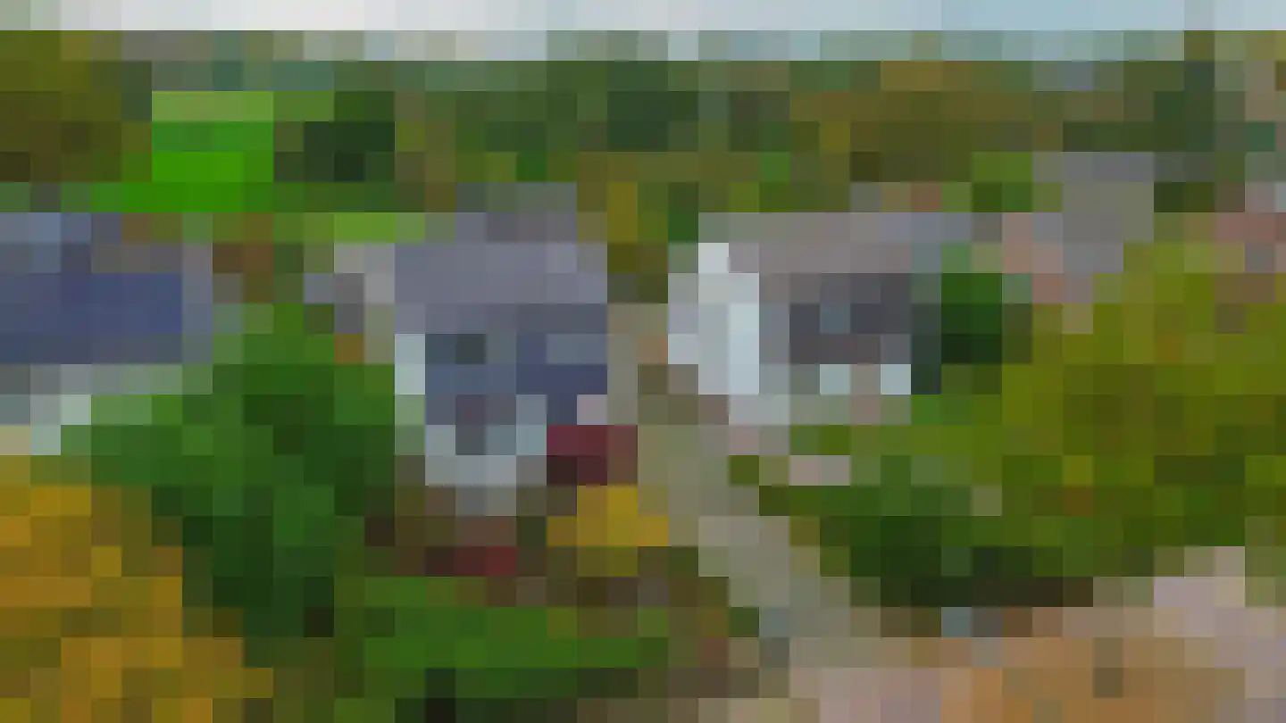 Soeterbeekseweg 16 Nuenen thumbnail 58