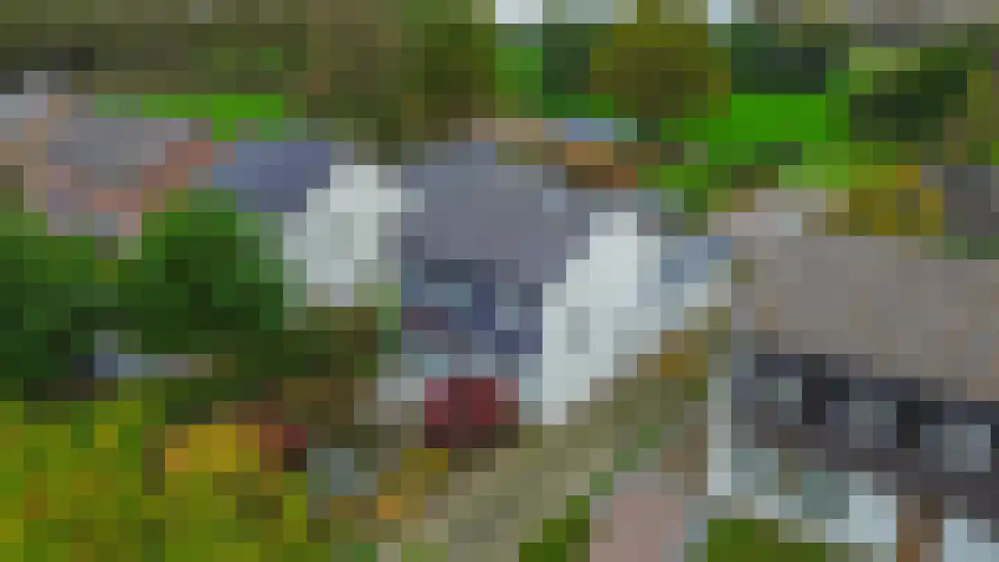 Soeterbeekseweg 16 Nuenen thumbnail 61